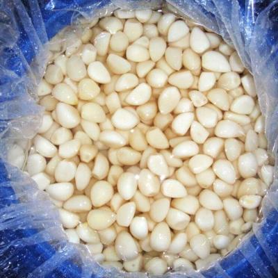 China Fresh garlic in china fresh garlic brine culture discount purchase vegetable custom for sale for sale