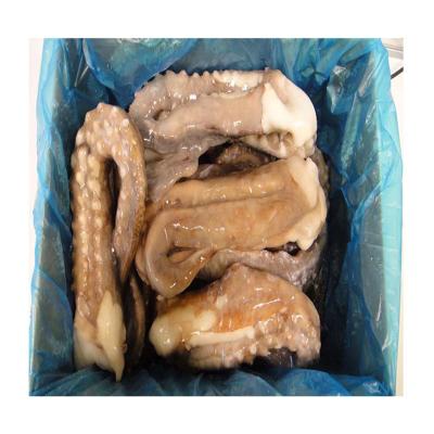 China IQF Nutritious Frozen Mexican Seafood Giant Squid Tentacles for sale