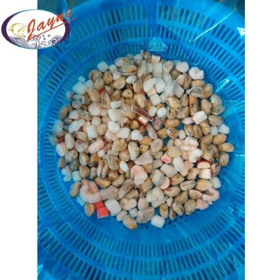 China FROZEN novelty products for import mix frozen seafood in squid competitive price for sale