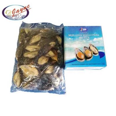 China FROZEN manufacturers direct sales frozen seafood shellfish half shell mussel for sale