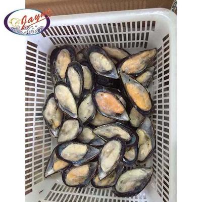 China FROZEN Wholesale China High Quality Raw Frozen Half Shell Mold for sale