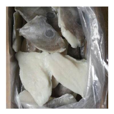 China 2021 new products seafood nutritious frozen john's dory,packing vacuum john's frozen dory fillet for sale