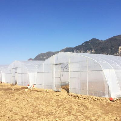 China Plastic Sheet Round Arch Tunnel High Ventilation Greenhouse Single-Span Waterproof Agriculture Greenhouse For Sale for sale