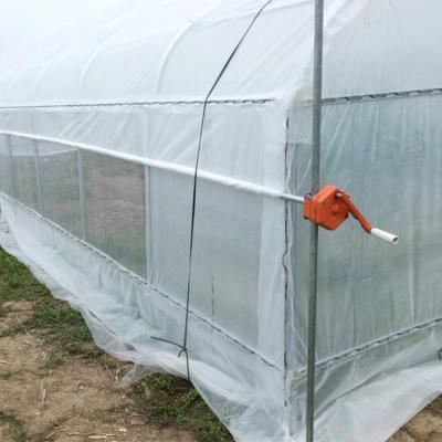 China Waterproof 10*30m Single-Span Cheap Galvanized Frame Greenhouse Tunnels Poly House Agriculture Greenhouse For Outdoor for sale