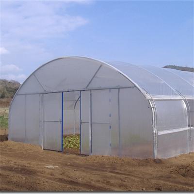 China Low cost waterproof tunnel greenhouse galvanized steel frame single span pe film greenhouse for agriculture flower plant for sale