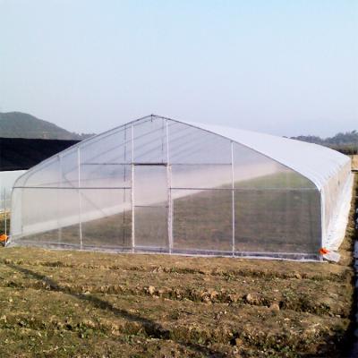 China Waterproof Easy Assemble Galvanized Steel Pipe Plastic Sheet Tunnel Tomato Single-span Vegetable Greenhouses For Sale for sale