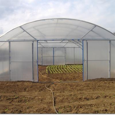 China Waterproof High Span Plastic Film Tunnel Low Cost Chinese Single Span Tomato Greenhouse For Vegetable Growing for sale