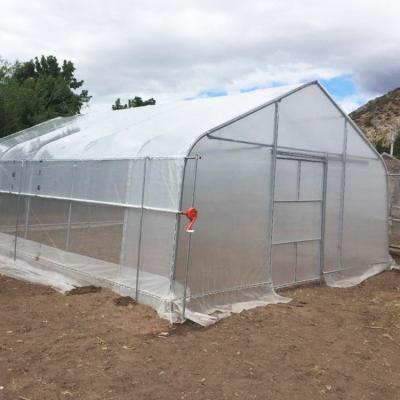 China Professional Factory Production Plastic Sheet Tunnel Greenhouses Steel Frames Single-Span Greenhouse Waterproof for sale