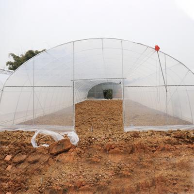 China Low Cost Waterproof Plastic Tunnel Ventilation PE Film Top Single-Span Ventilated Greenhouses Duct Top Greenhouse for sale