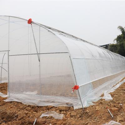 China Waterproof Duct Top Natural Ventilation Single Span Tunnel Arch Agricultural Greenhouse For Tropical Use for sale