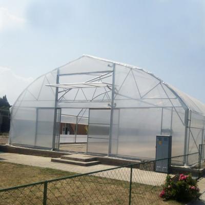 China Waterproof Agricultural Plastic PEP Film Single-span High Tunnel Agriculture Greenhouse With Ventilation System for sale