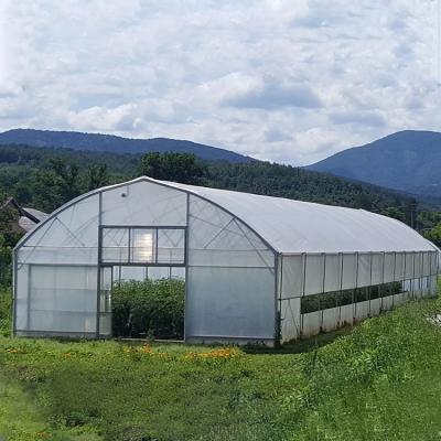 China Cheap Greenhouse Single Tunnel Steel Frame Waterproof Galvanized Plastic Span Greenhouses For Sale for sale