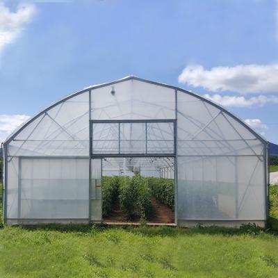 China View Pe Film Waterproof Galvanized Steel Greenhouse Tunnel 30 x 10 Meters Alone for sale