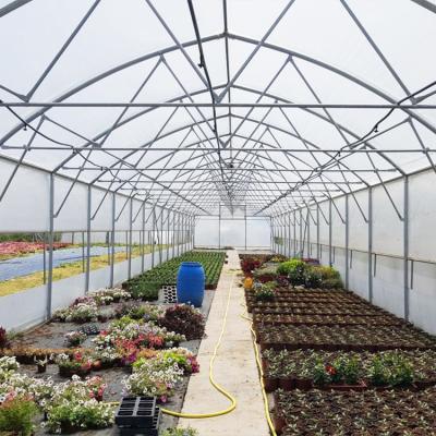 China Waterproof Tunnel Cultivating High Quality Outdoor Agriculture Greenhouse Greenhouse With Best Price for sale