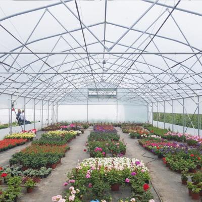 China Cheap Single-Span Plastic Duct Sheet Malaysia Waterproof Greenhouse UV Top Polythene Small Greenhouse for sale