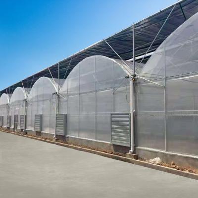 China Waterproof Automatic System Shading Plastic Sheet Tunnel Greenhouse Multi-span Agriculture Greenhouse For Plants Breeding for sale