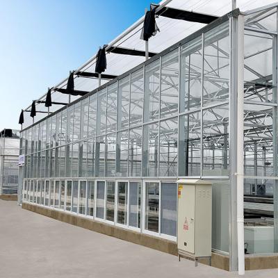 China Waterproof Tempered Glass Agricultural Hydroponic Growing Systems Multi-Span Venlo Glass Greenhouse for sale