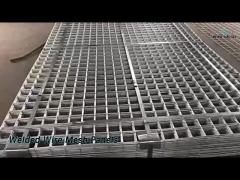 Grid Welded Wire Mesh Panels High Tensile Strength Galvanized For Aviary