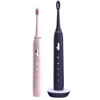 China Best quality and low price hotel replacement slim vibrating rotary electric toothbrush for sale