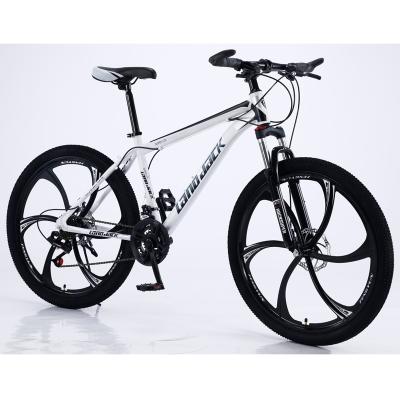 China Moutain Bike Directly From Factory Mountain Bike Fat Tire Snow Bike Wholesale 20/26 Inch Snow Bike With Fat Tire Bike for sale