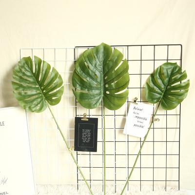 China Single Real Contact Flower Institut of Statistics Mgrid Pu Tortoise Leaf Leaf Silk Creative Accessory Decoration for sale