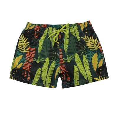 China Custom Short Stretch Waist Polyester Fruit Print Fruit Print Panel Four Way Quick Dry Plus Beach Kids Swim Shorts for sale