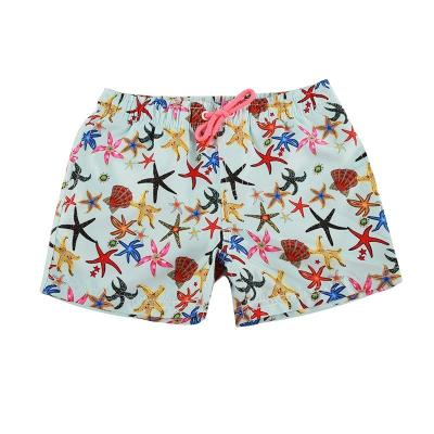 China Changes Plus Size Swim Trunks Men Color Water Shorts Quick Dry Swimming Shorts Trunks for sale