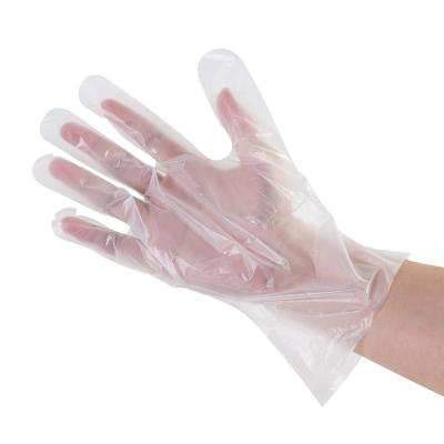 China food preparation & Serve 2022 Hot Sales Customized Compostable Gloves For Food Preparation Hygiene Household Daily Use Strong Elastic Durable Environmental GD for sale