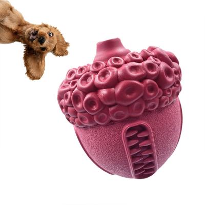 China 2022 Sustainable New Design Natural Rubber Pet Toys Squeaky Chew Dog Toys For Medium/Small/Large Dogs for sale