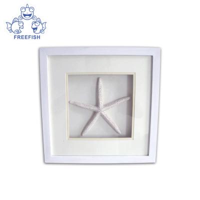 China Decorative Shadow Frame With Starfish , Customized Wooden Shadow Box Photo Frame for sale