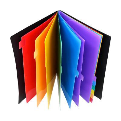 China PP Wholesales 12 page Rainbow Index Folder A4 Plastic Documents File Folder Customizable Folder PP Document File with Elastic band for sale