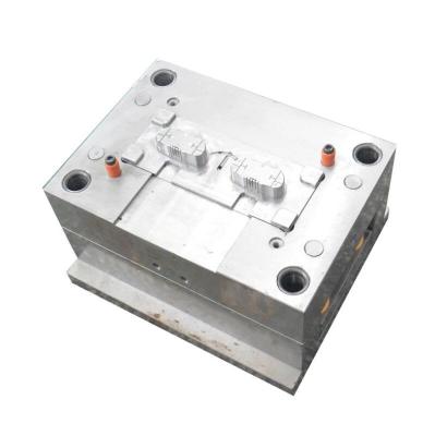 China Leading Plastic Injection Molding Custom Service Steel Plastic Injection Molding Manufacturer for sale