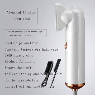 China Ionic Intuitive Heat Uniformity Technology Portable High Quality Professional Hair Dryer for sale