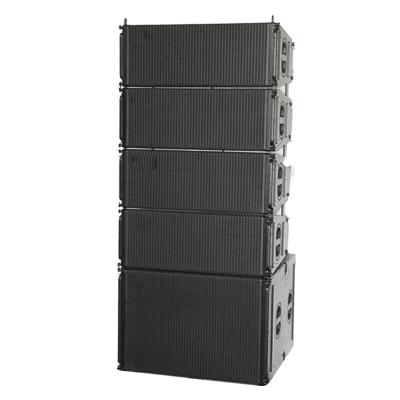 China NO LINE High Quality 10 Inch Outdoor Events Dual Array Passive Speaker For Recording Studio Audio System for sale