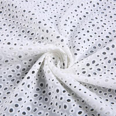 China Fashion Net High Quality White Woven Cotton Voile Heavy Embroidery Eyelet Fabric Sample 30cm x 40cm Free Ship Collect TUV for sale