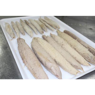 China Auxis Thazard Low Fat Cheap Price Frozen Bonito Tuna Fish Loin Meat for sale