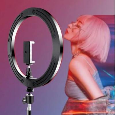 China Large Mini 10 Inch RGB Video Light 16Colors RGB Ring Lamp For Phone With Remote Camera Studio Led 48