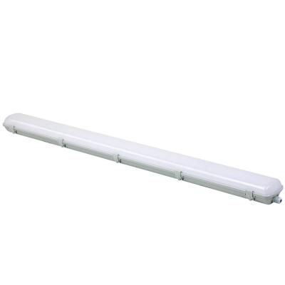 China Warehouse Warehouse T8 2x18w 2x36w 18W 36W 58W 72W 60cm 120cm 150cm Lighting Waterproof IP65 Triproof Led Batten Light for sale