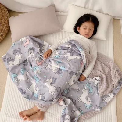 China Wholesale adult minky blanket from China supplier wearable, weighed minky blanket for sale