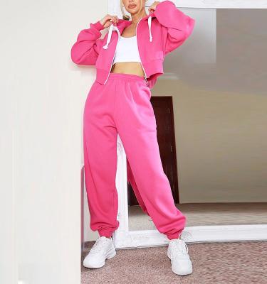 China Anti-pilling Cropped Zipper Hoodie Elastic Waist Joggers Sports Sweatpants Set Two Piece Tracksuit Women for sale