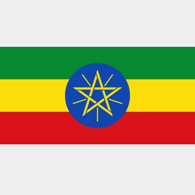 China FLYING made in china ethiopia high quality custom flag for sale