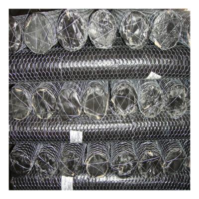 China Twill Weave Hexagonal Wire Netting High Quality Stainless Steel Chicken Wire Mesh for sale