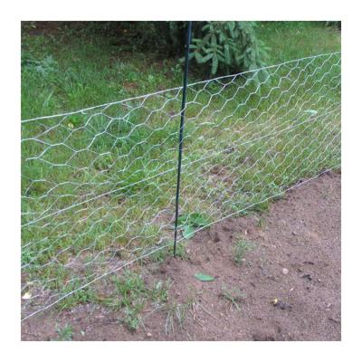 China Twill Weave 13mmx13mm Electro Galvanized Hexagonal Wire Mesh Fence Netting for sale