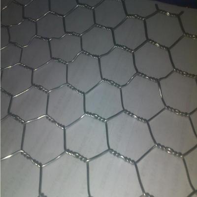 China Twill Weave Best Quality Galvanized Hexagonal Hexagonal Chicken Wire Netting Mesh for sale