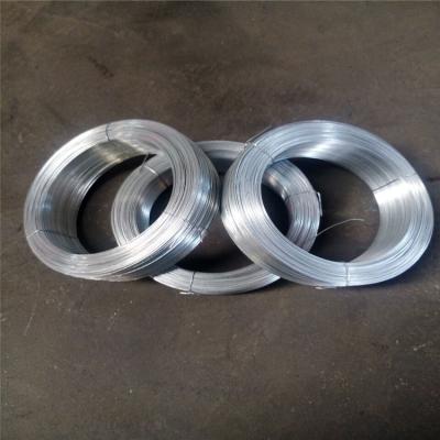 China Binding Wire Factory Supply Electro Galvanized Small Coil Binding Wire for sale