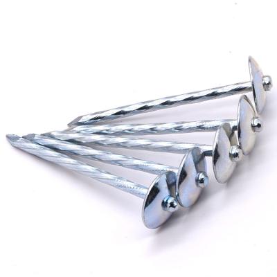 China Cap Roofing Nail Galvanized Roofing Umbrella Head Nails for sale