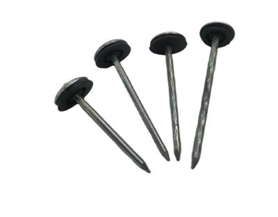 China Cap Galvanized Umbrella Torsion Leg Head Roofing Nails BWG9*2.5