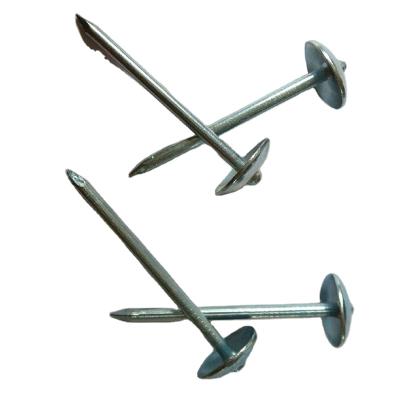 China Factory Direct Galvanized Cap Roofing Nails Head Umbrella Roofing Nails for sale