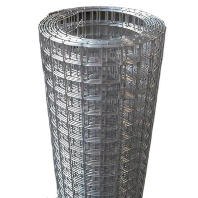 China Factory Direct Selling Hot Dip Plain Weave Galvanized Welded Wire Mesh Roll for sale