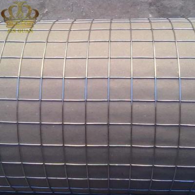 China Plain Weave Galvanized Welded Iron Wire Mesh Welded Roll Mesh for sale